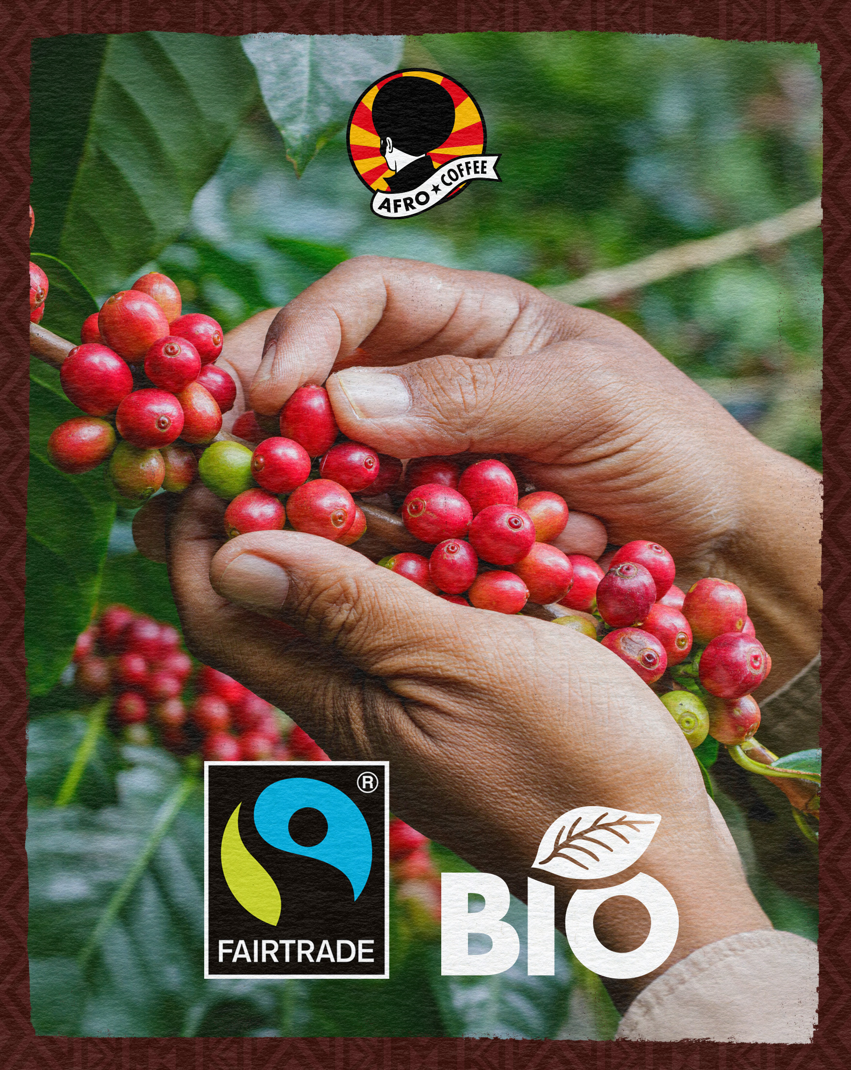 6x 500g Bio Kaffeebohnen Dark & Elegant, AT-BIO-902