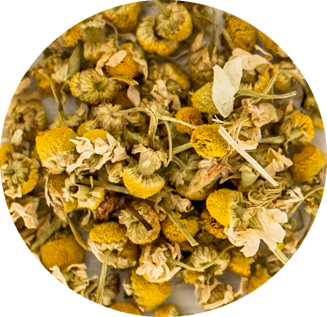 Golden Chamomile Teabags, Set of 10