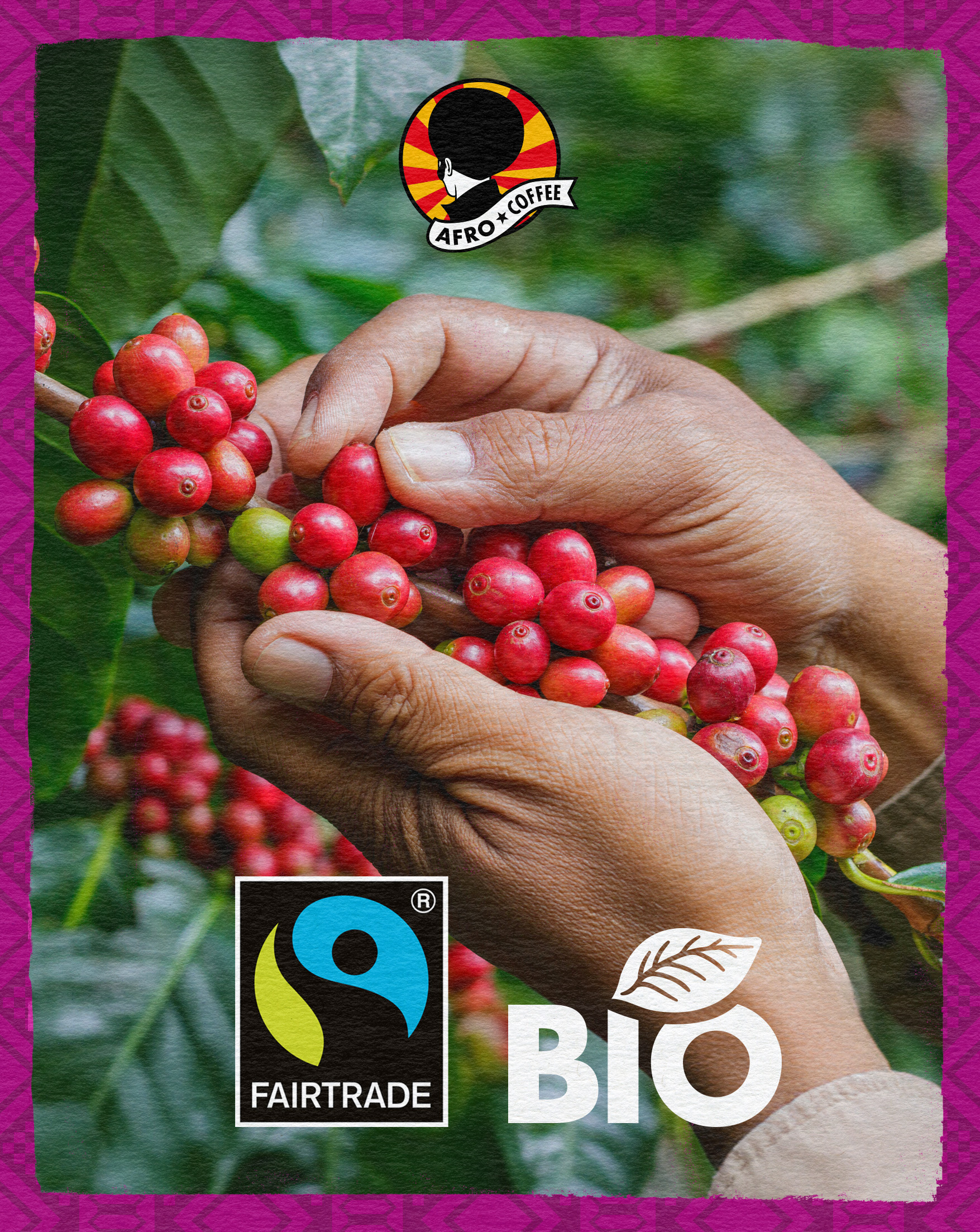 6x 500g Bio Kaffeebohnen Strong & Earthy, AT-BIO-902