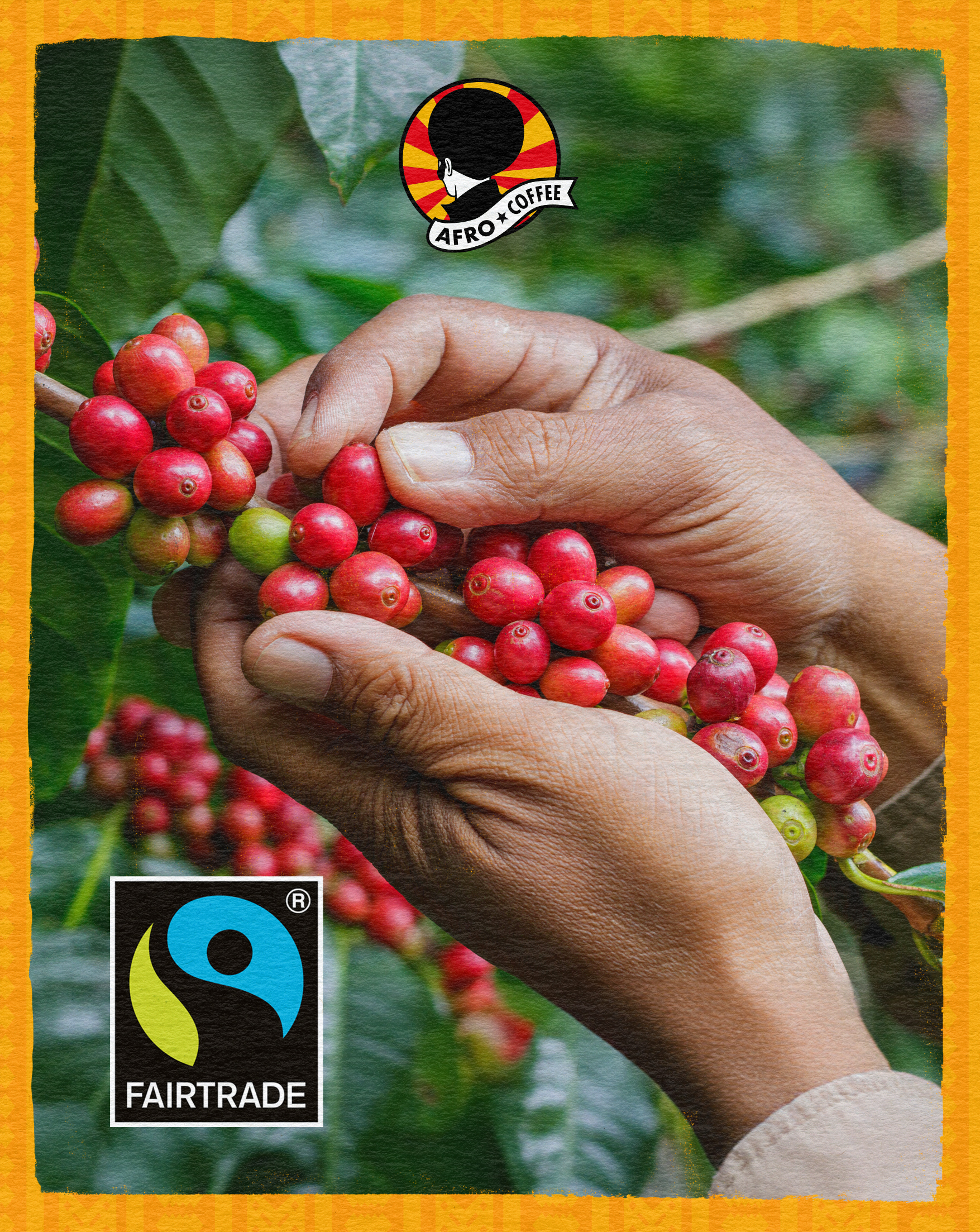 6x 500g Bio Kaffeebohnen Mild & Aromatic, AT-BIO-902