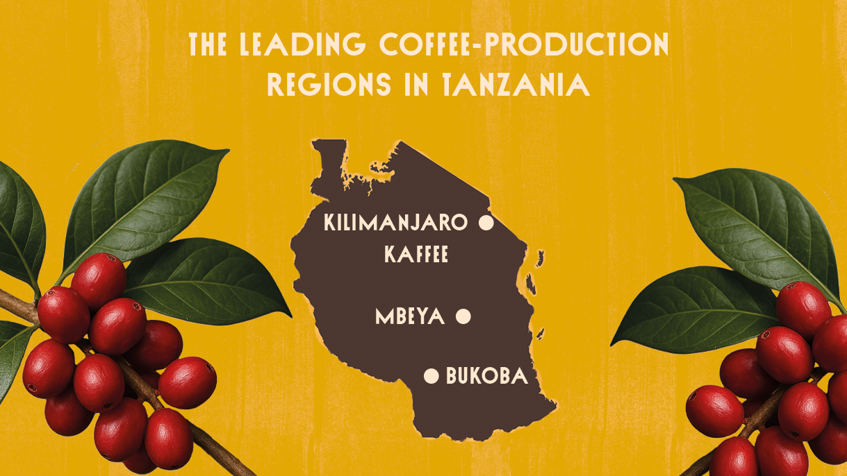 map of the most important coffee-growing regions in Tanzania