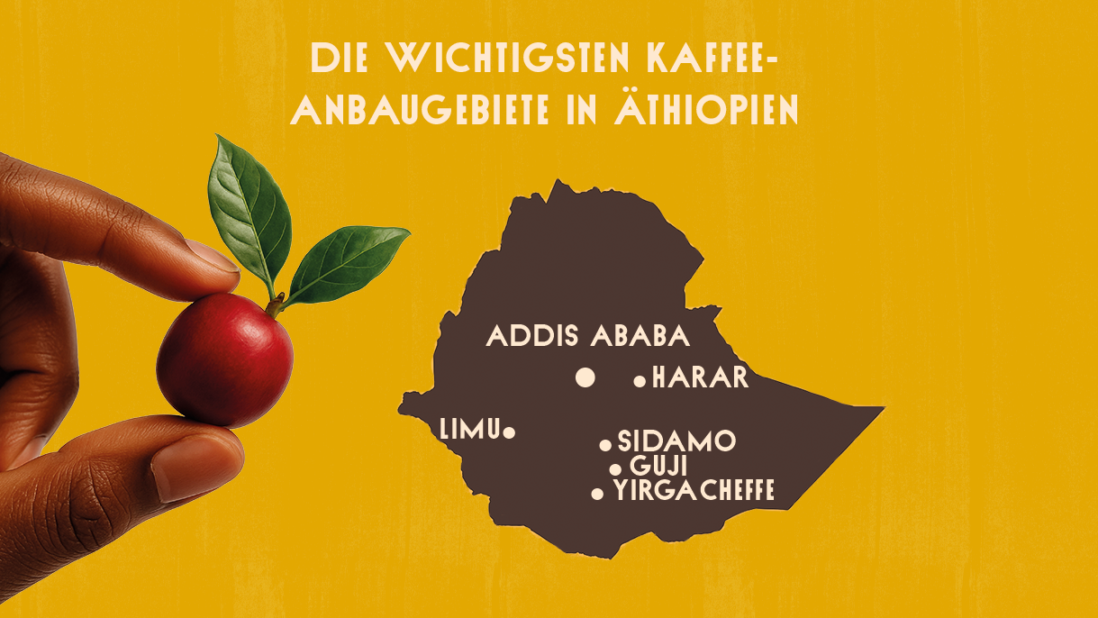 Grafik der wichtigsten Kaffeeanbaugebiete in Äthiopien.
