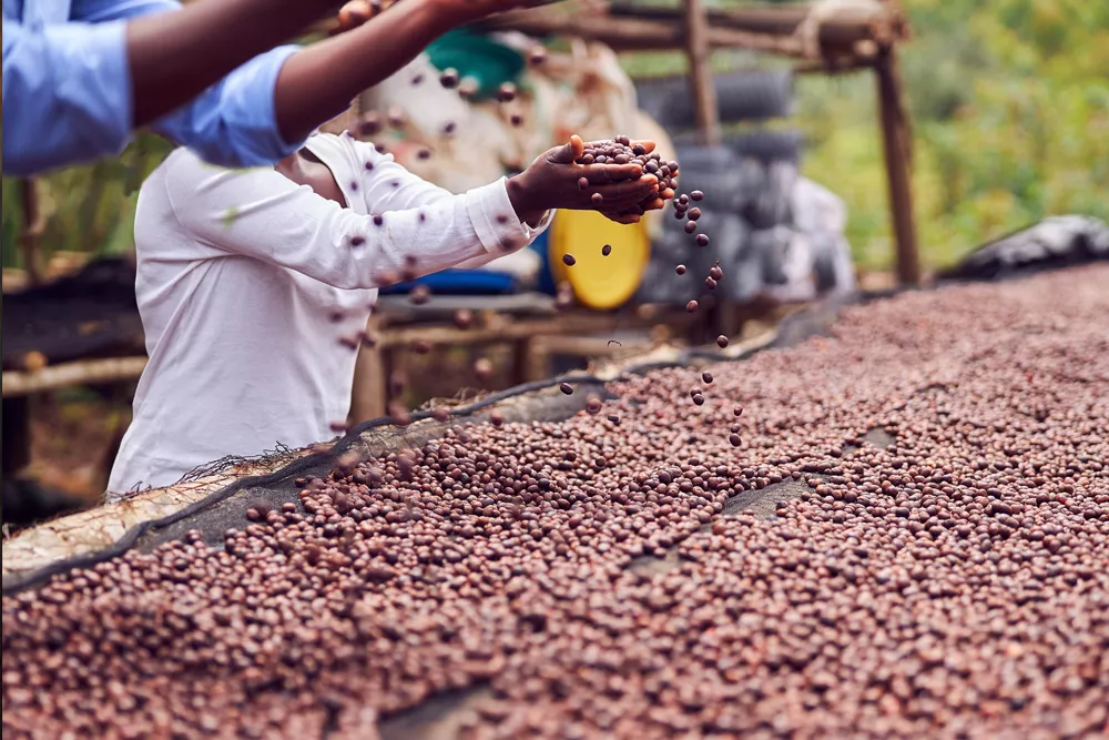 Was das Fairtrade Gütesiegel bedeutet