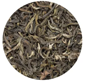 Pure White Pure White